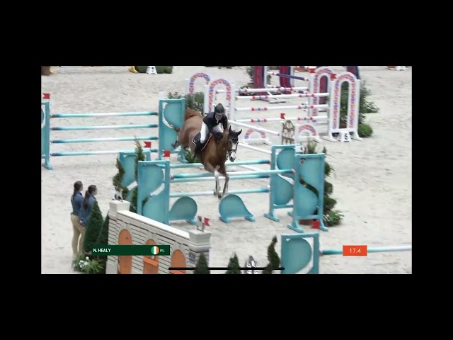 Mother of this Frozen Embryo is the CSI 1.60m jumping Mare Oak Grove’s Americana with rider H. Nano.
