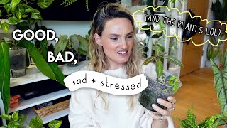 July Goodies (+ plants in a pickle) 🌿 UPDATES In My 300+ Plant Collection