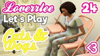 Cats & Dogs #24: Pet Progress!