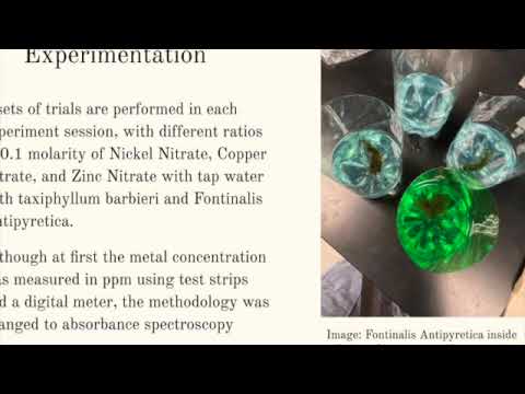 Filtration of heavy metals using Moss