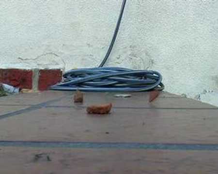 Digalo con Mímica 11