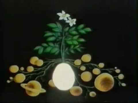 Die Geschichte von der wunderbaren Kartoffel 3/3