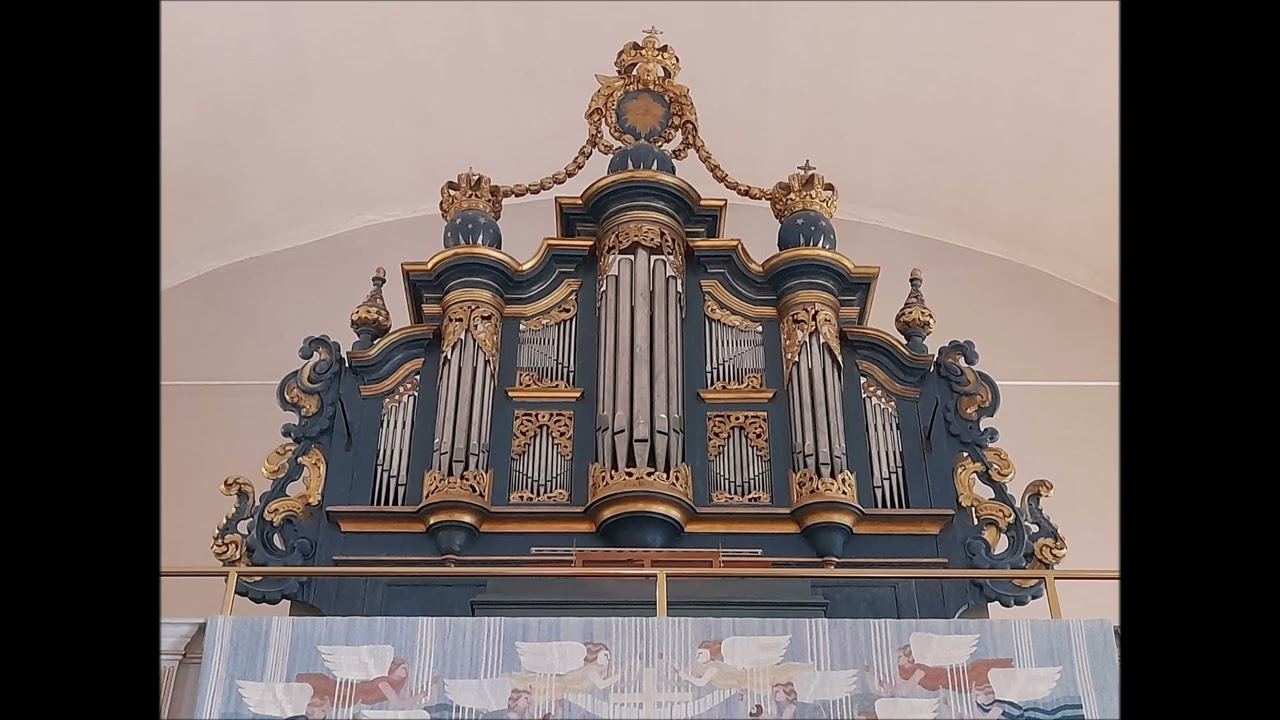 Swedish Romantic Organ Music played by Riccardo Gnudi at Hammar Church, Sweden