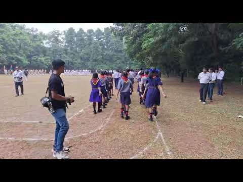 CUBS AND BULU BUL @NIT PORTALS