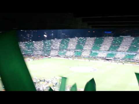 "Salida Atlético Nacional vs Rosario Central" Barra: Los del Sur &bull; Club: Atlético Nacional