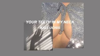 kali uchis // your teeth in my neck (lyrics)