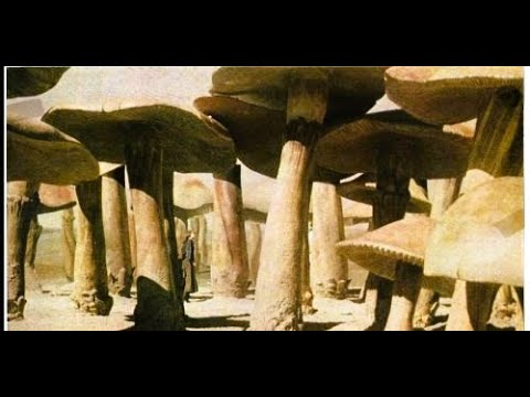 Die Reise zum Mittelpunkt der Erde / Jules Verne