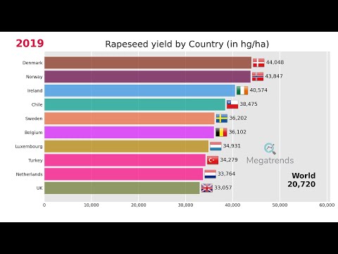 Top 10 Countries by Yield of Rapeseed (1961 - 2019)