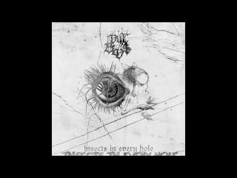 VYX BLV$ - $TRAY (PROD.PVKET)