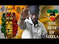 DJ FRESH   SIZZLA BEST HITS MIX 2