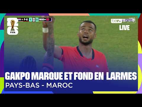 LIVE - Gakpo ouvre le score et fond en larmes !