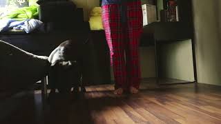 Kontaktutmaning dag 1