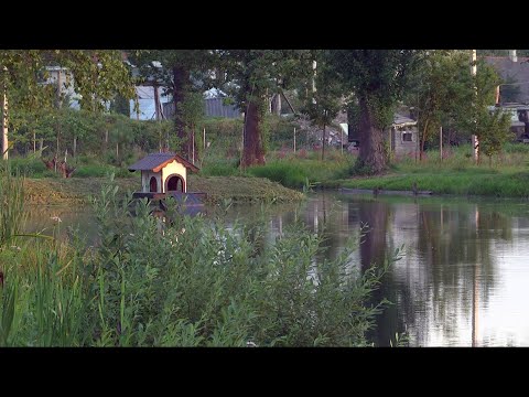 У Коломиї облаштували зону відпочинку. ВІДЕО