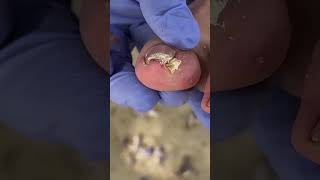 Is One Side Of The Armor Plate A Hook #nails #satisfying