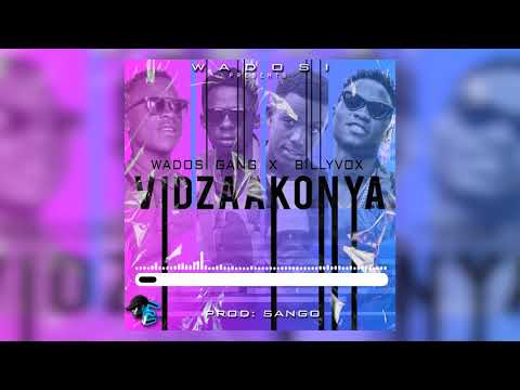 VIDZAKONYA - WADOSI GANG X BILLY VOX (OFFICIAL AUDIO)