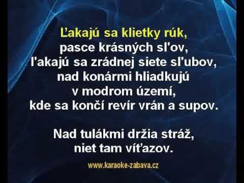 Miroslav Žbirka - Balada o polných vtákoch (karaoke z www.karaoke-zabava.cz)