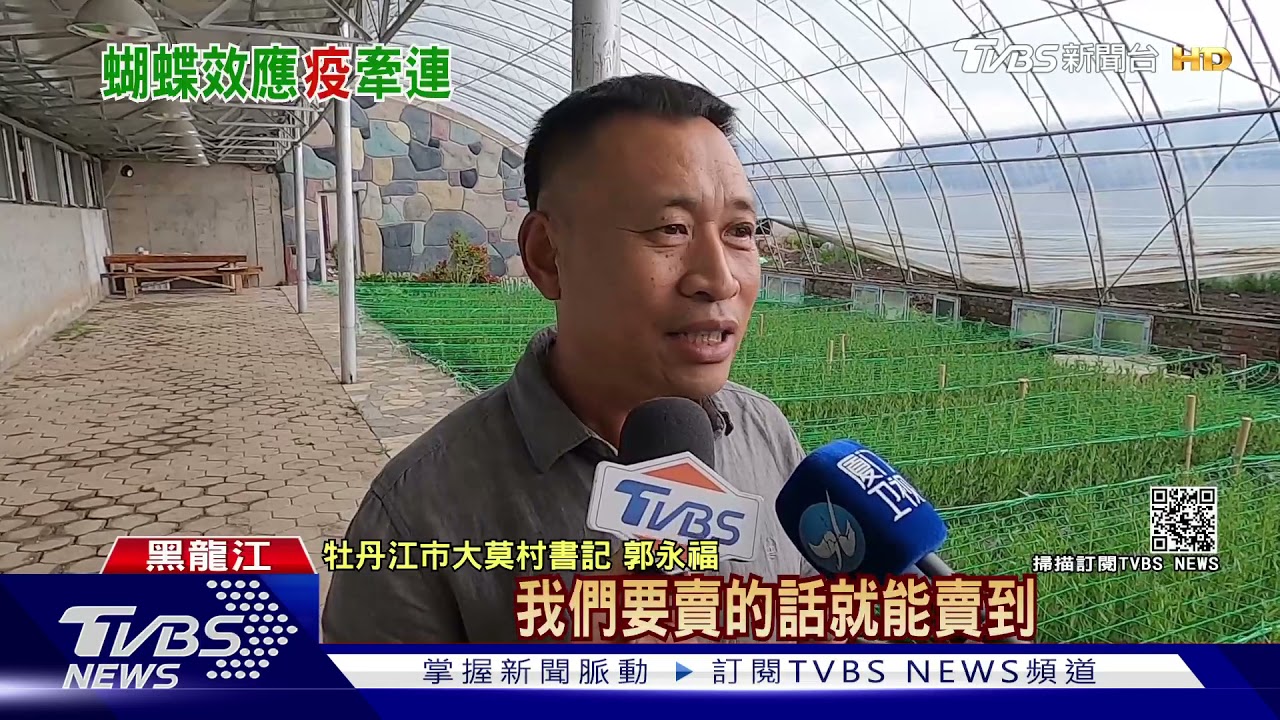 台灣水果在黑龍江受歡迎!甜度高當禮品販售 疫情下停擺