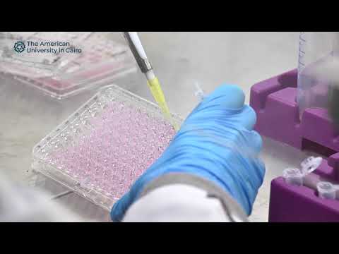 Altraz anastrozole tablet, packaging size: 14 tablets in 1 s...