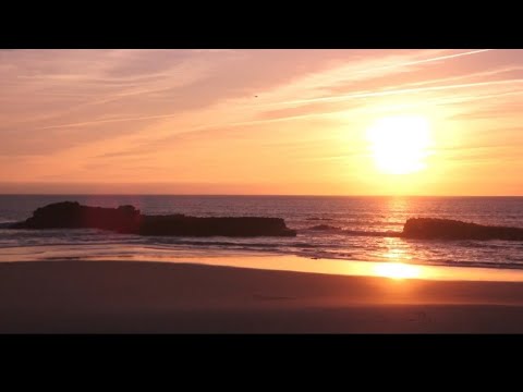 Puriya Dhanashree-Glory Of Dusk-Meditatiion | Relaxation Music | Flute | Alap-Jod-Jhala