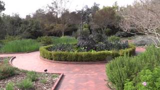 preview picture of video 'San Marino, California - Huntington Botanical Gardens Herb Garden HD (2013)'