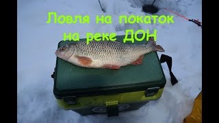 Когда ловить плотву в липецкой области