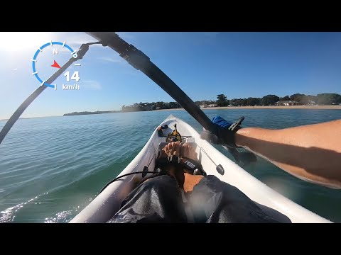 Sprinting! Fennix Swordfish S