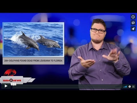 200+ dolphins found dead from Louisiana to Florida (ASL - 6.15.19)
