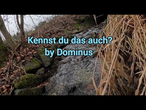 Dominus - Kennst du das auch?  (Offizielles Musikvideo)  #newmusic #dominus #kennstdudasauch