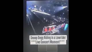 Snoop Dogg Up Jump The Boogie #snoopdogg  #music #hiphop