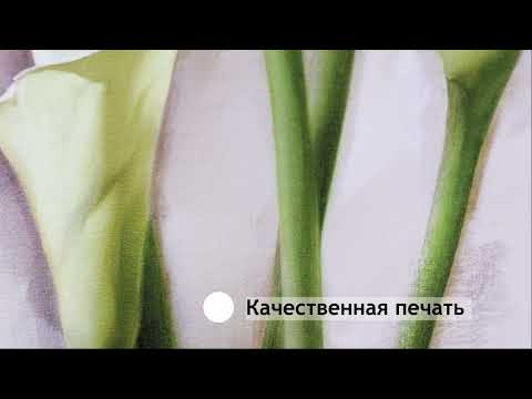 Миниатюра изображения товара Картина Декарт Каллы 8Л0981 (в раме)