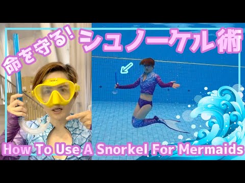 この写真のフランスの巨大な潜水艦ドリス、後部の排気管と旗の直前にある空気管の頭部に注目してください。