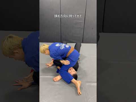 【誰でもできる】マウントから腕十字固め