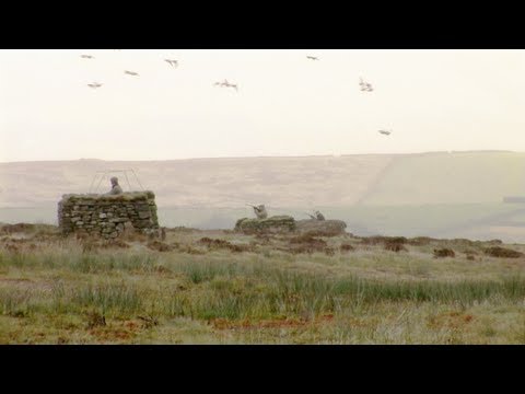 Fieldsports Britain – Grouse prospects and roebuck calling