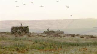 Fieldsports Britain – Grouse prospects and roebuck calling