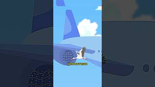 Por que os Aviões não têm Telas nos Motores? 🤔  #curiosidades #curiosidade #fatos #vocesabia