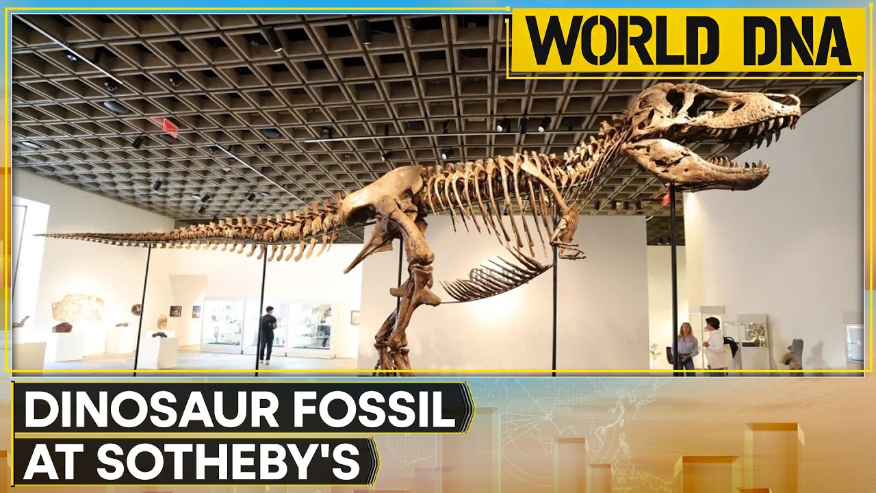 Most Expensive Fossil Ever: 67-Million-Year Old T-Rex Sold At $50.1 Million | WION World DNA