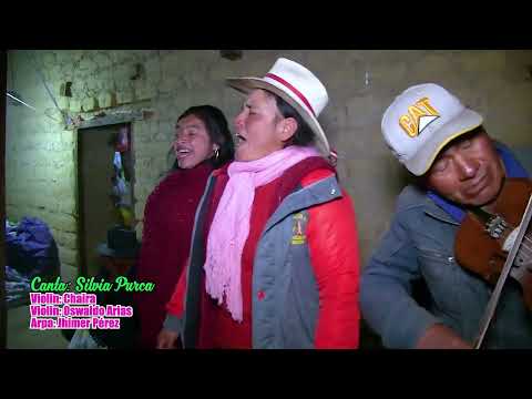 Jarana BAILABLE en INCUYO con SOL DE LOS ANDES 🔆