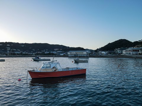 Landscapes | Perspectives Two (Taputeranga Island Bay, Wellington, New Zealand)