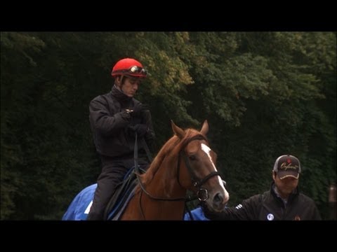 The bets are on for the Prix de l'Arc de Triomphe