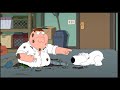 Familyguy Brian Griffin Being A Bad Dog
