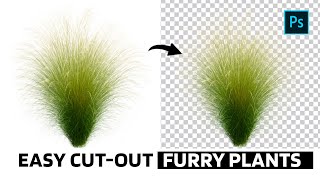 How to Cut Out Furry Plants in Photoshop (Feather Grass & More) 2025
