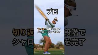 うわ…プロってシャローの作り方が全然違う…
