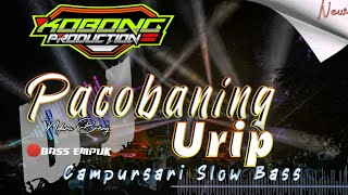 Download lagu Dj PACOBANING URIP - CAMPURSARI SLOW BASS By KOBONG PRODUCTION Ft DJ ADS mp3 Download lagu Dj PACOBANING URIP - CAMPURSARI SLOW BASS By KOBONG PRODUCTION Ft DJ ADS mp3