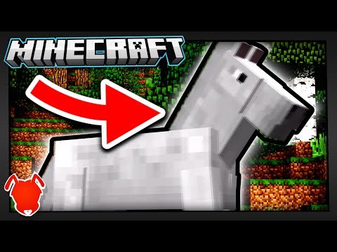 How to Make the BEST Possible Minecraft Horse!