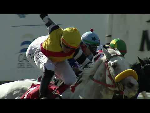 230409 c01 J Martinelli/ QUESADILHA