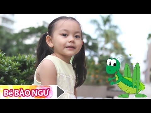 CON CÀO CÀO - Bé Bào Ngư