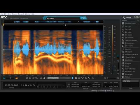 iZotope RX Post Production Suite Software Bundle (Upgrade from RX Elements/Plugin Pack, Download) image 12
