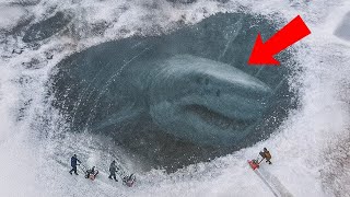 The Mystery of Megalodon and Antarctica – What Scientists Are Discovering