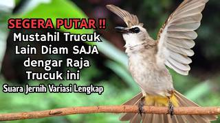 Download lagu Trucukan GACOR ngalas ROPEL PANJANG suara alam AMPUH buat pancingan jadikan trucuk Gacor GARUDA mp3