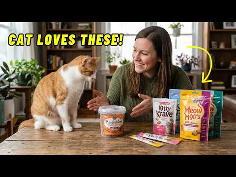 6 Best Cat Treats 2026! Vet-Approved